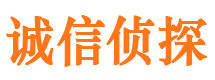 张家川侦探